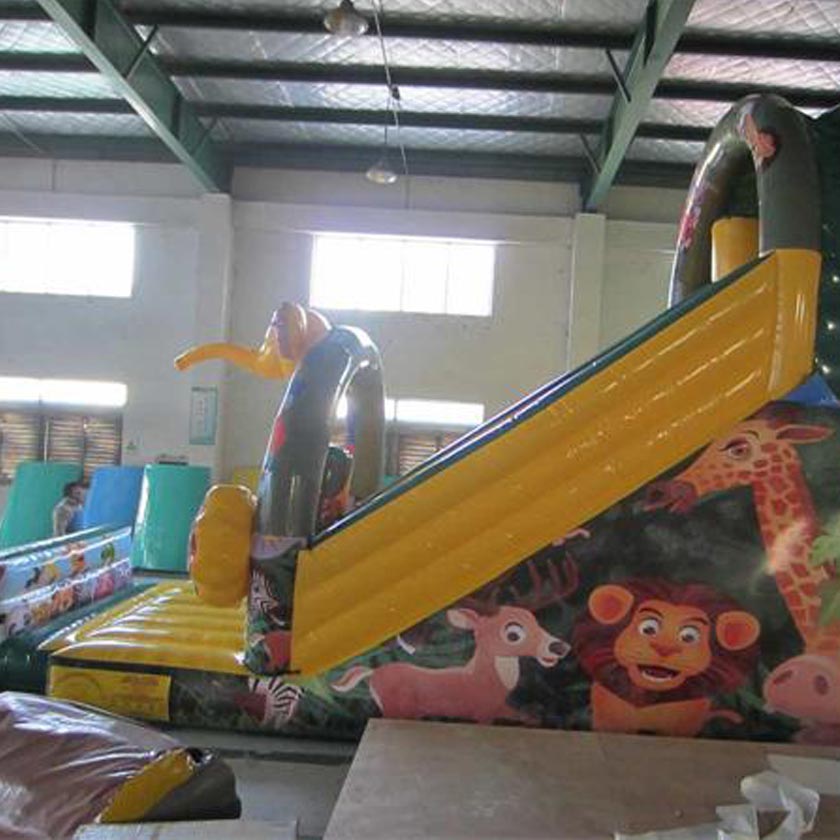 Inflatable Dry Slides